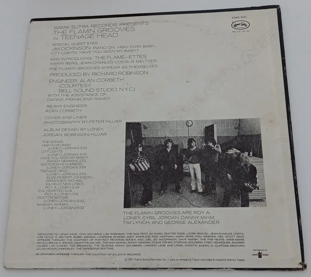 The Flamin' Groovies, Teenage Head Image 1++